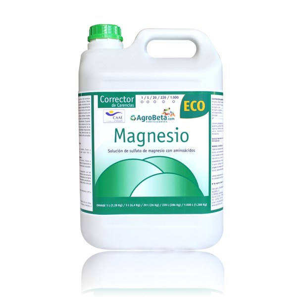 magnesio 5